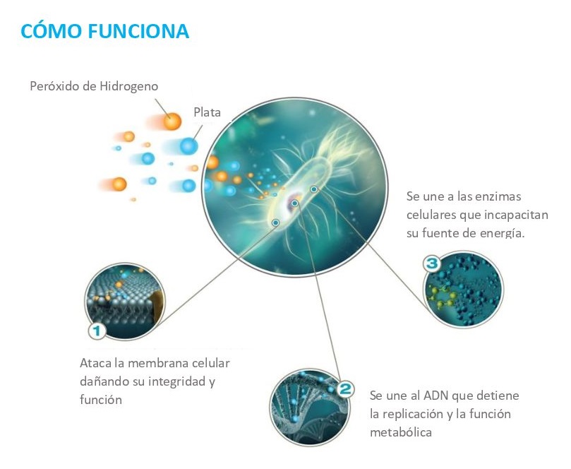 desinfectante eficaz para eliminar la listeria, salmonella, e coli,